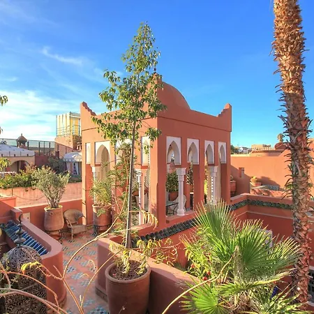 Riad Kaiss By Anika